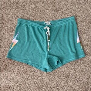 Women’s PJ Salvage Green Pajama Pj Shorts XL